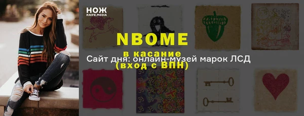 ГАЛЛЮЦИНОГЕННЫЕ ГРИБЫ Инсар