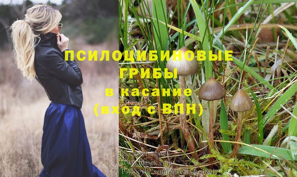 Альфа ПВП Арсеньев