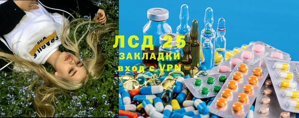 крисы Армянск