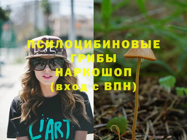 крисы Армянск