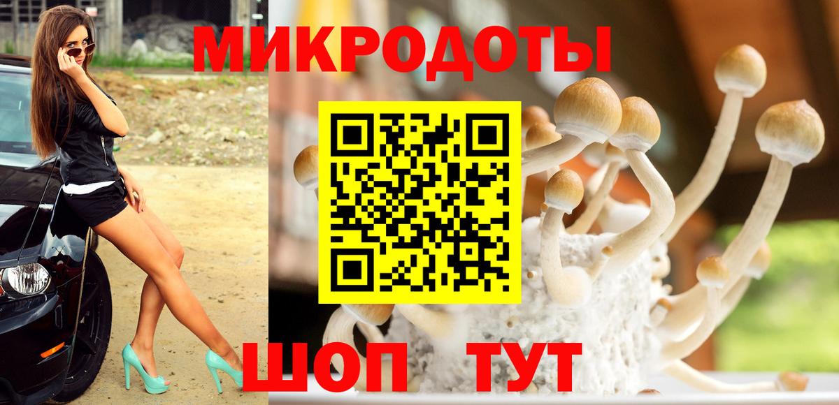 Киров  Галлюциногенные грибы мицелий  Вход с VPN 